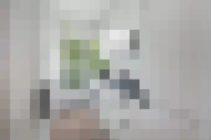 Schoonegge 61 Rotterdam thumbnail 21