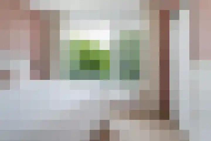 Schoonegge 61 Rotterdam thumbnail 27