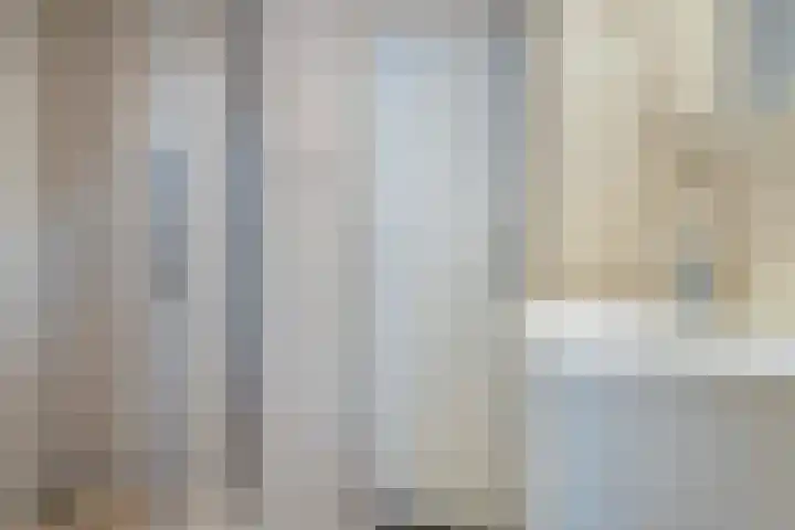 Schoonegge 61 Rotterdam thumbnail 28
