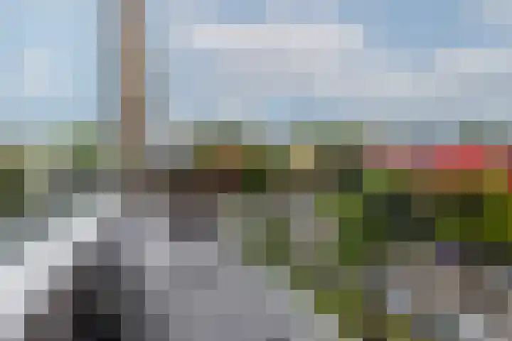 Schoonegge 61 Rotterdam thumbnail 35