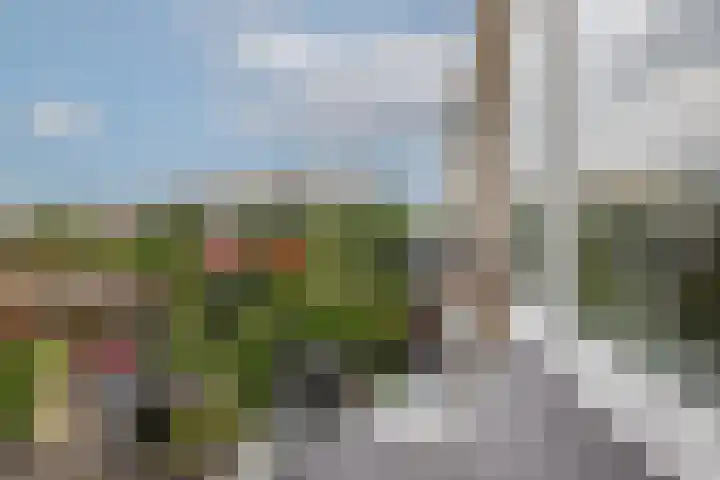 Schoonegge 61 Rotterdam thumbnail 36