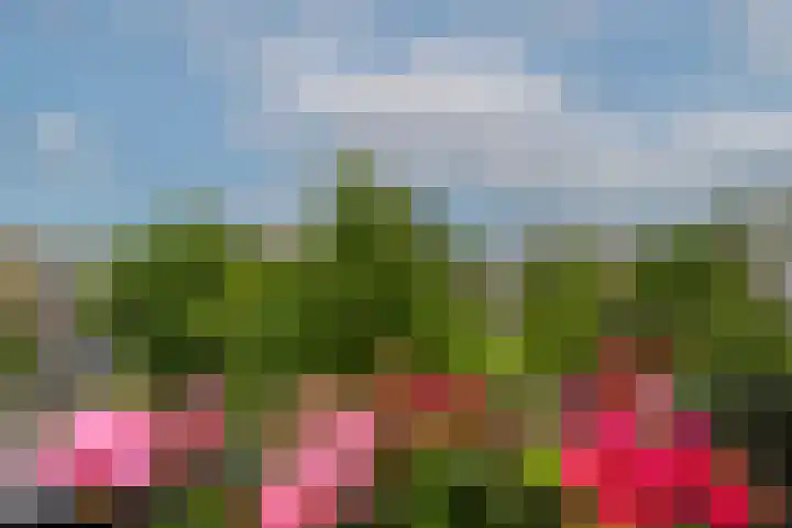 Schoonegge 61 Rotterdam thumbnail 38