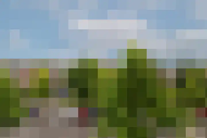 Schoonegge 61 Rotterdam thumbnail 39