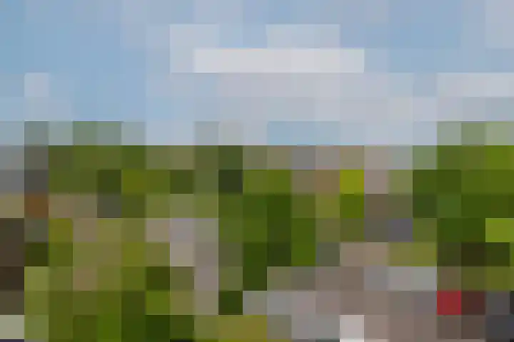 Schoonegge 61 Rotterdam thumbnail 40