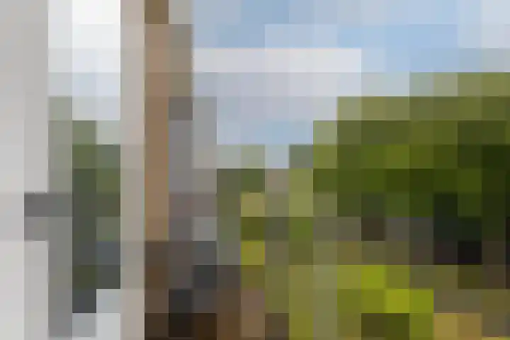 Schoonegge 61 Rotterdam thumbnail 41