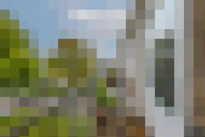 Schoonegge 61 Rotterdam thumbnail 42