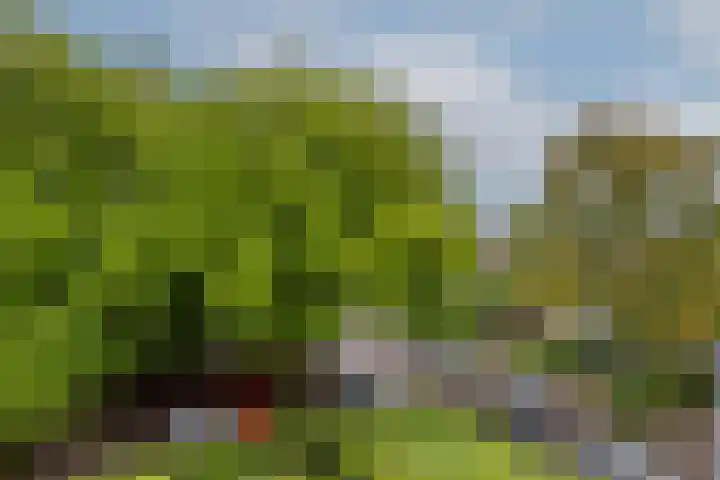 Schoonegge 61 Rotterdam thumbnail 43
