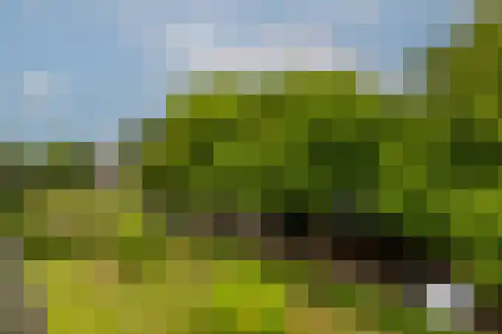 Schoonegge 61 Rotterdam thumbnail 44