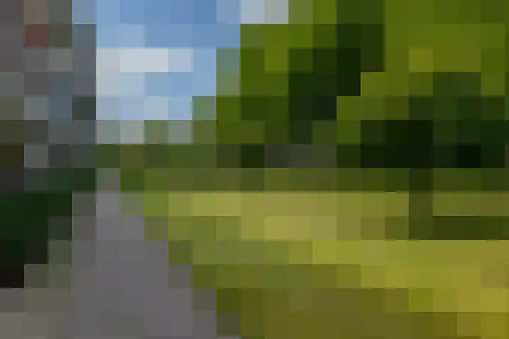 Schoonegge 61 Rotterdam thumbnail 45
