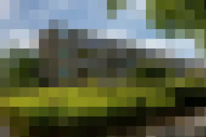 Schoonegge 61 Rotterdam thumbnail 5