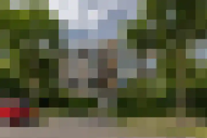 Schoonegge 61 Rotterdam thumbnail 6