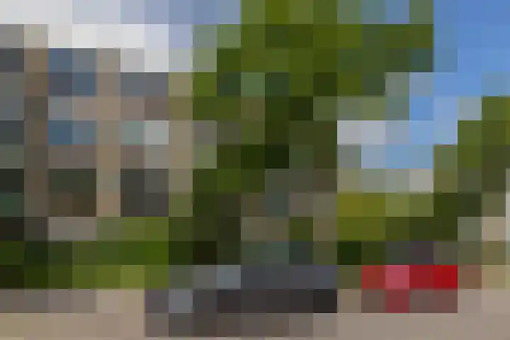 Schoonegge 61 Rotterdam thumbnail 7