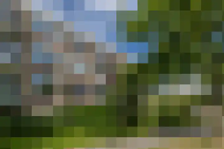 Schoonegge 61 Rotterdam thumbnail 8
