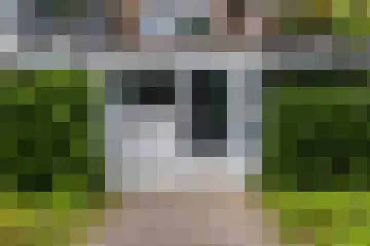 Schoonegge 61 Rotterdam thumbnail 9