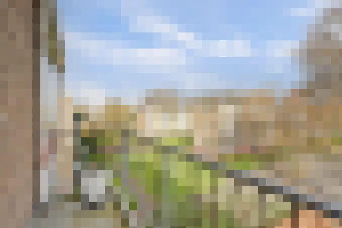 Schoonegge 85 Rotterdam thumbnail 16