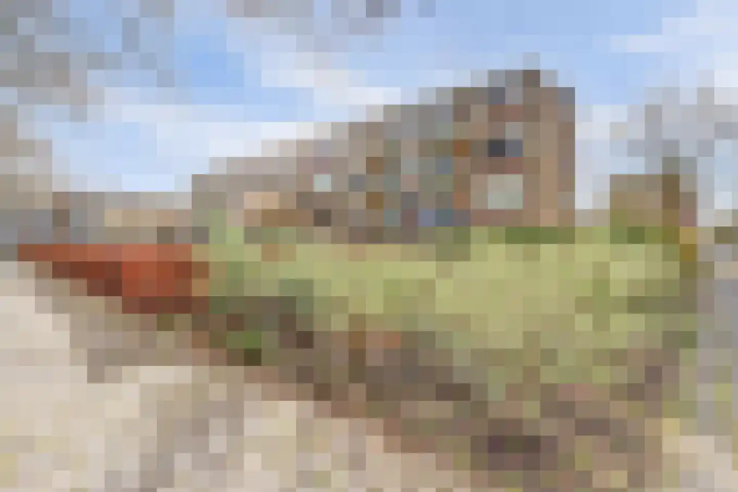 Schoonegge 85 Rotterdam thumbnail 18