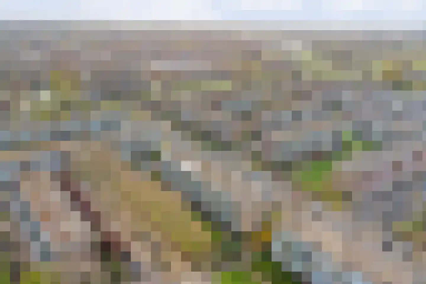 Schoonegge 85 Rotterdam thumbnail 24