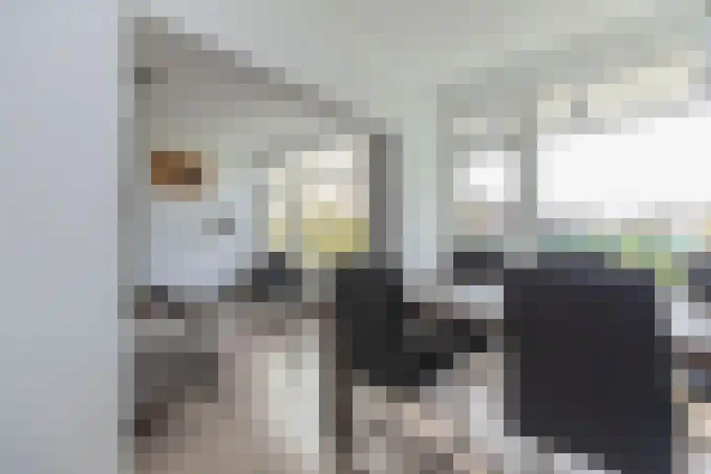 Schoonegge 89 Rotterdam thumbnail 11