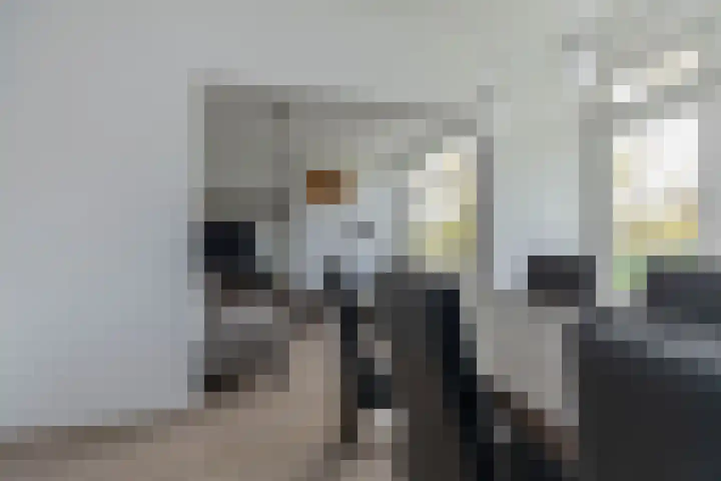 Schoonegge 89 Rotterdam thumbnail 12