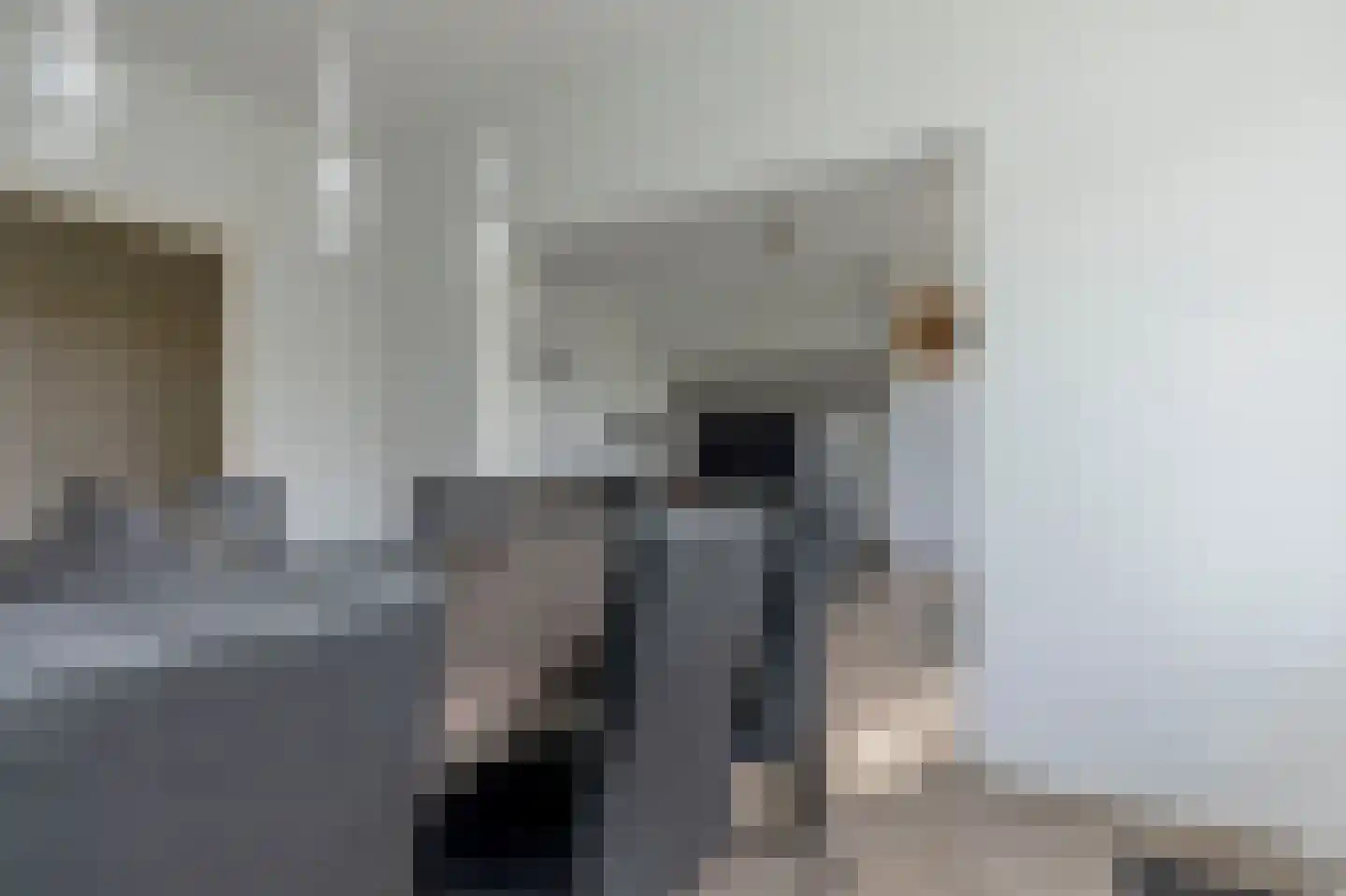 Schoonegge 89 Rotterdam thumbnail 13