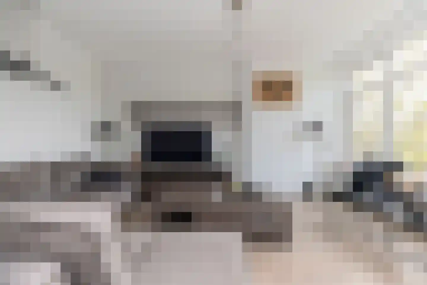 Schoonegge 89 Rotterdam thumbnail 14