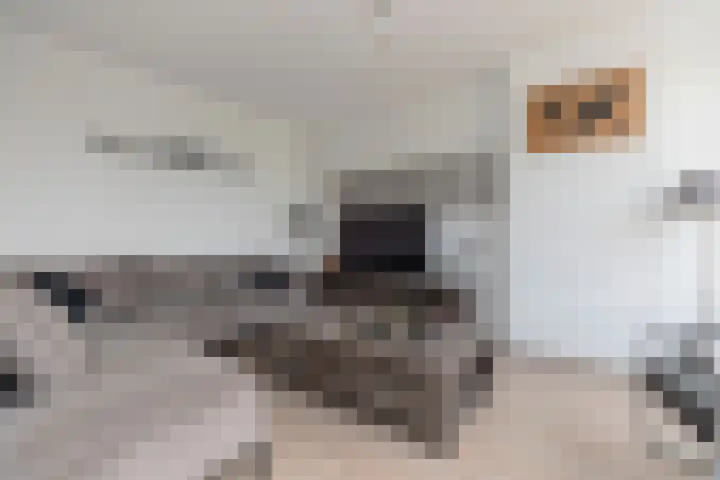 Schoonegge 89 Rotterdam thumbnail 15