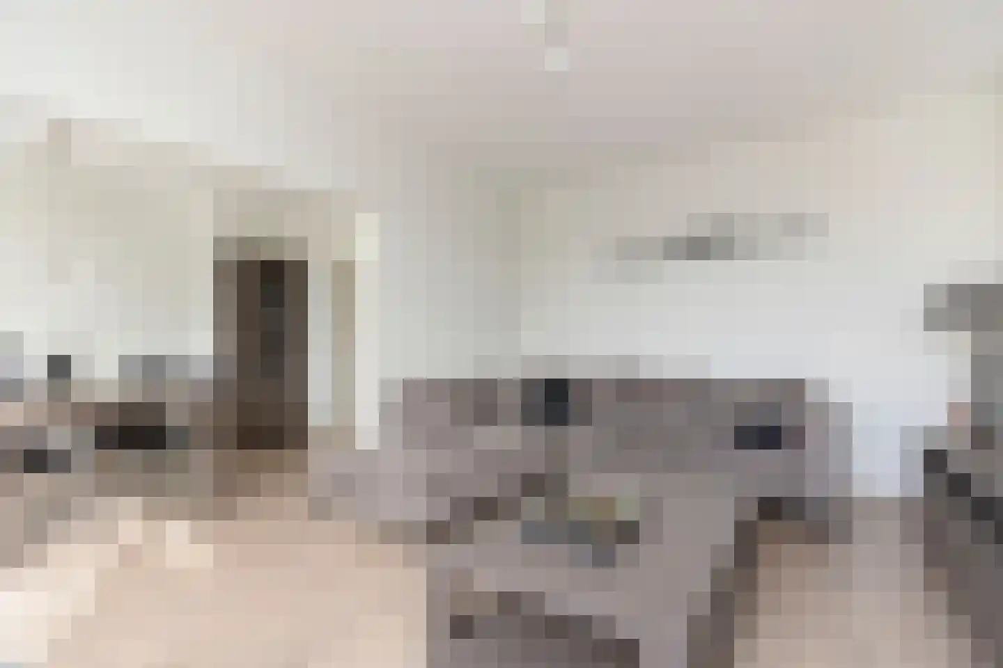Schoonegge 89 Rotterdam thumbnail 17