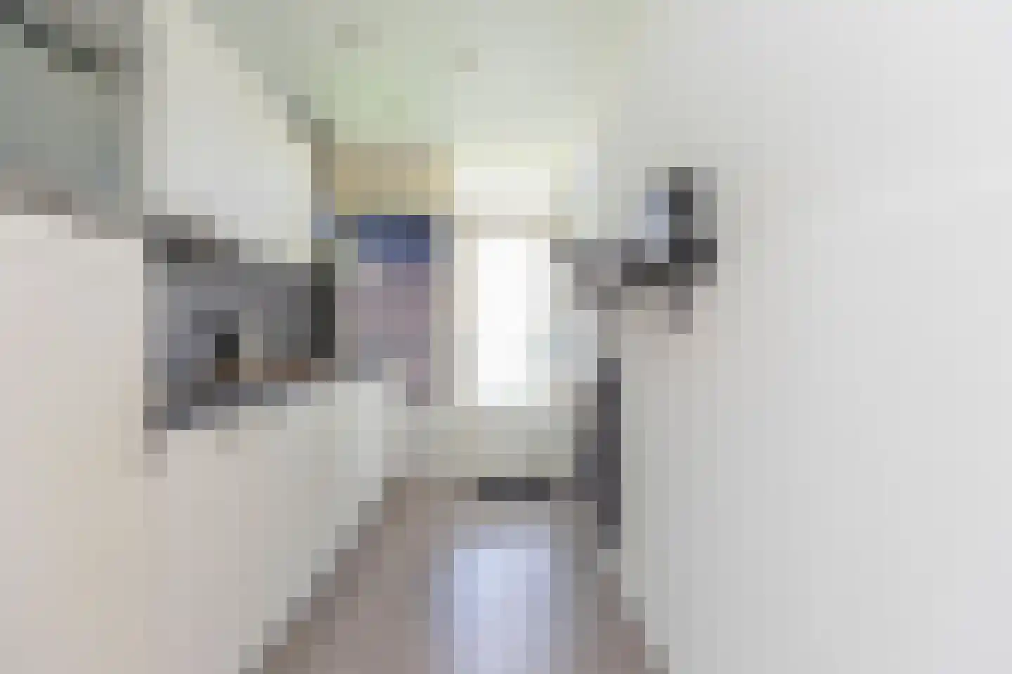 Schoonegge 89 Rotterdam thumbnail 21