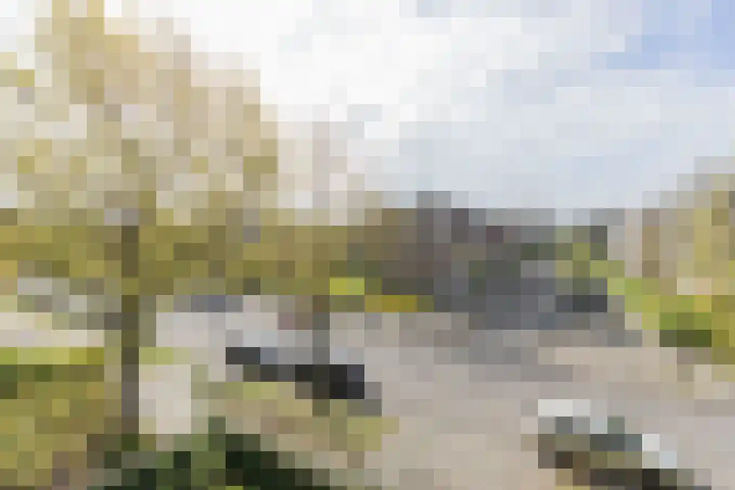 Schoonegge 89 Rotterdam thumbnail 35