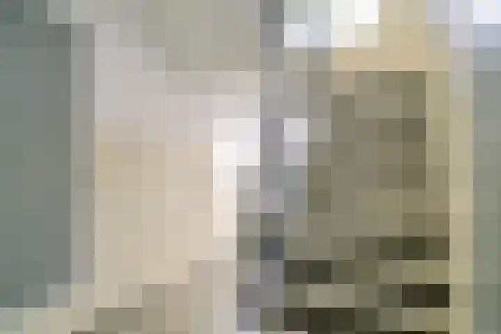 Schoonegge 98 Rotterdam thumbnail 10