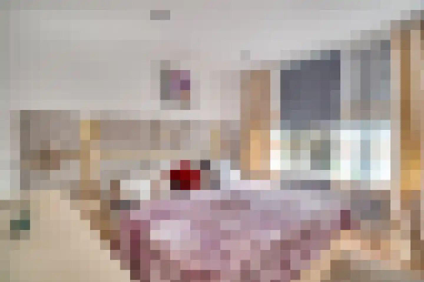Schoonegge 98 Rotterdam thumbnail 11