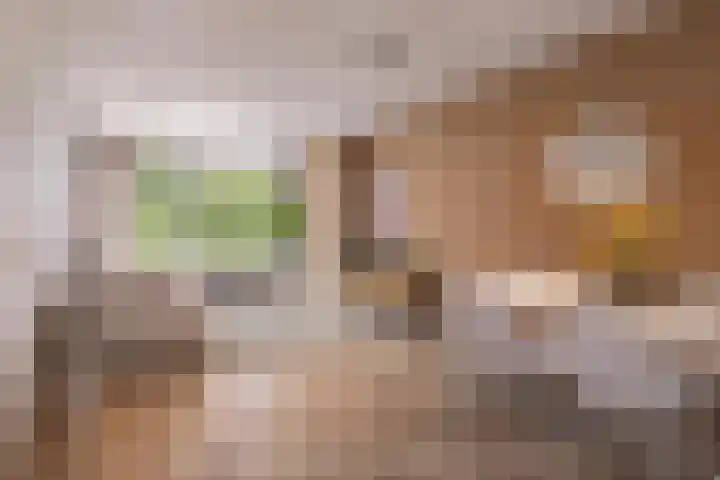 Schoonegge 98 Rotterdam thumbnail 13