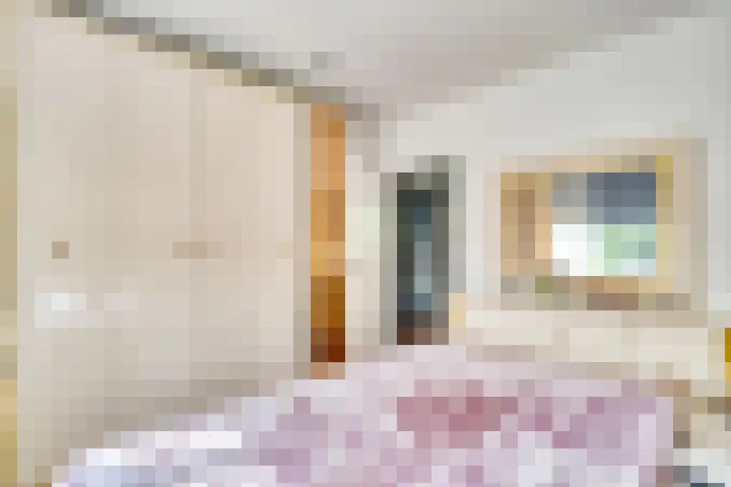 Schoonegge 98 Rotterdam thumbnail 13