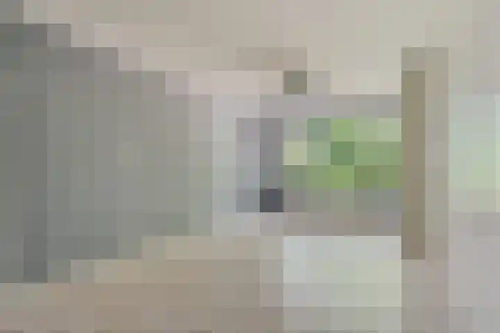 Schoonegge 98 Rotterdam thumbnail 15