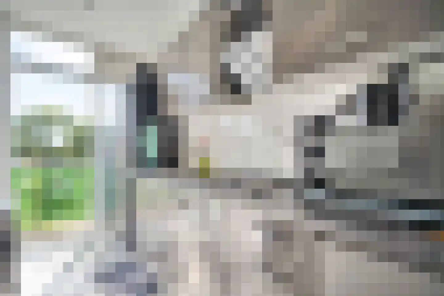 Schoonegge 98 Rotterdam thumbnail 17
