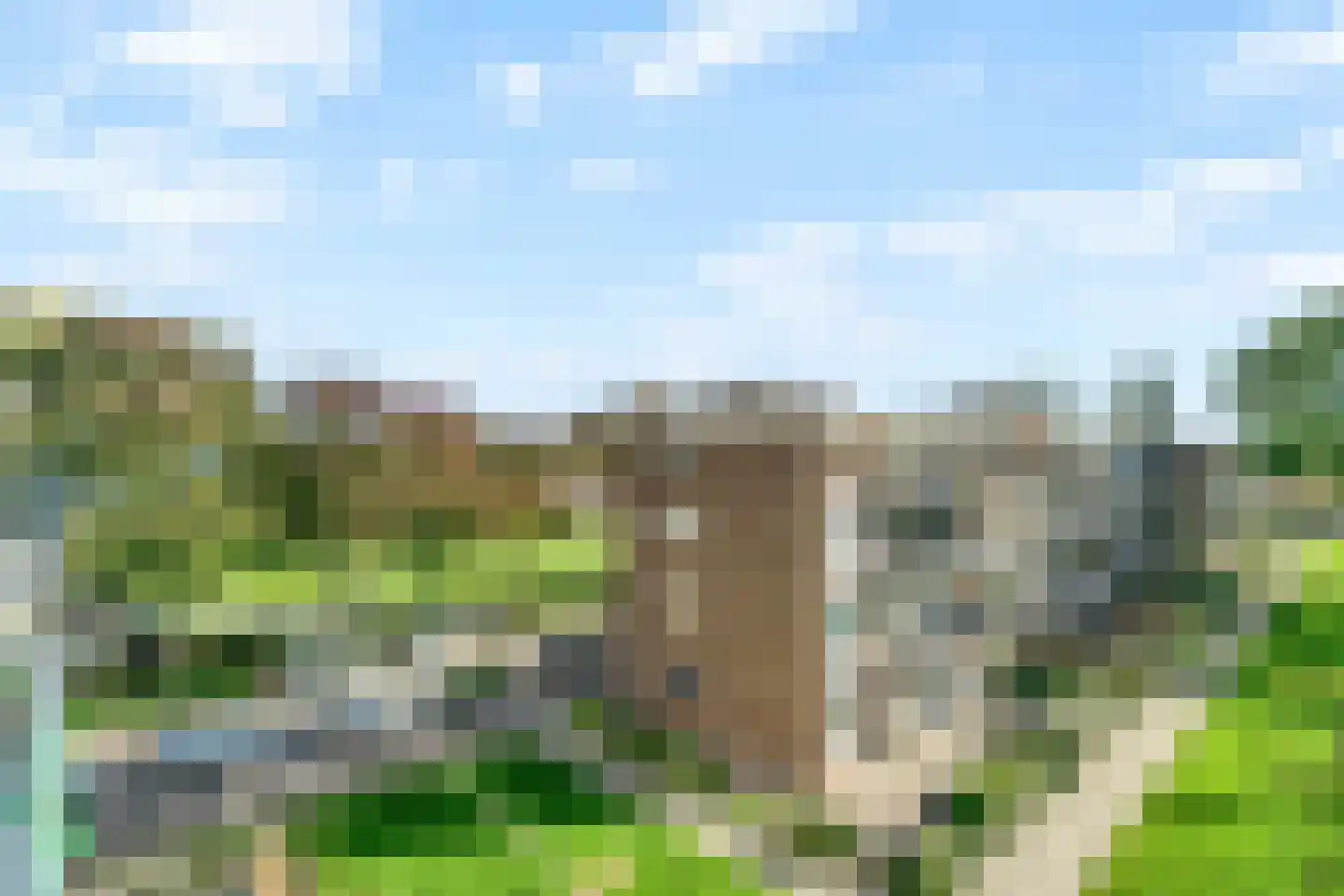 Schoonegge 98 Rotterdam thumbnail 20