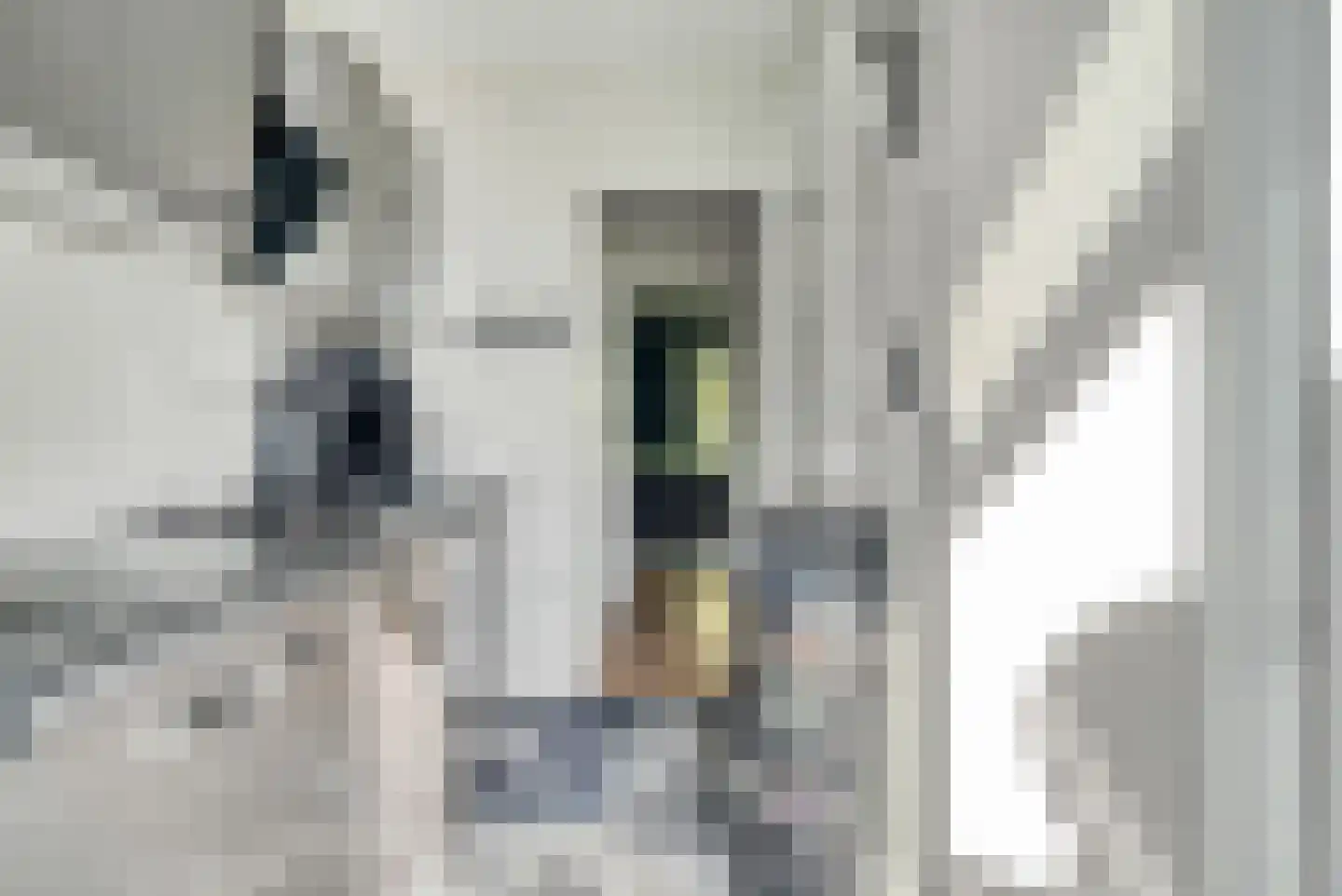 Schoonegge 98 Rotterdam thumbnail 23