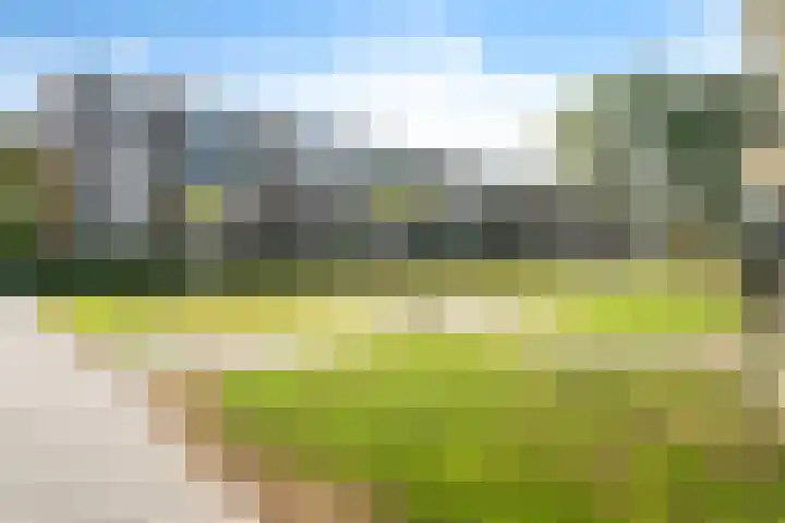 Schoonegge 98 Rotterdam thumbnail 34