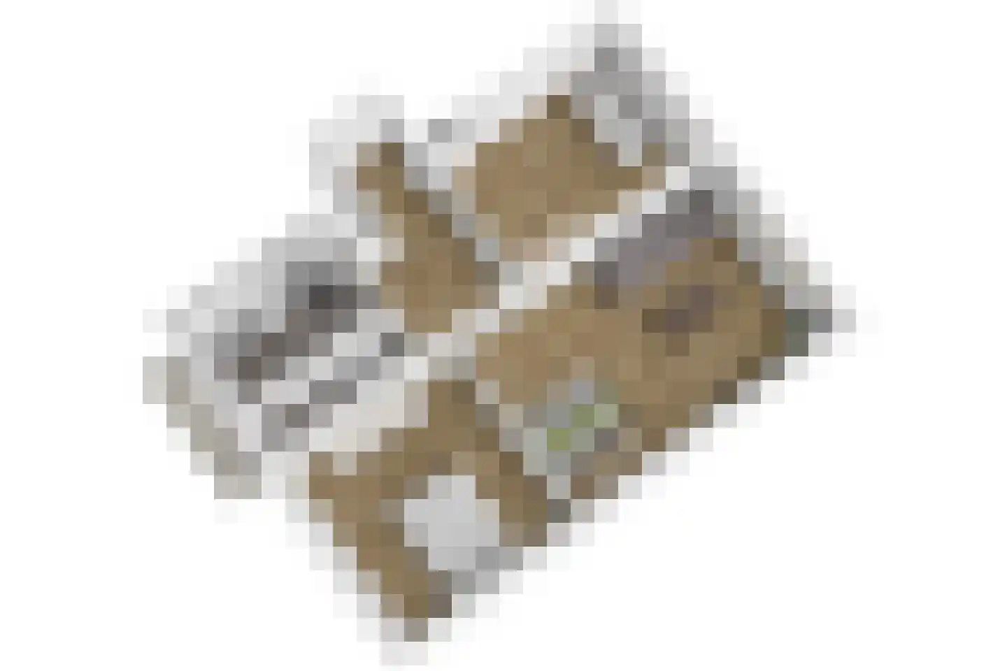 Schoonegge 98 Rotterdam thumbnail 37