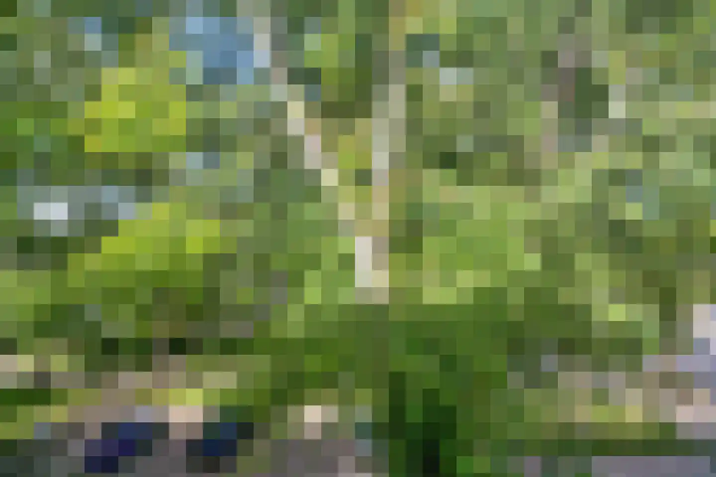 Schoonegge 98 Rotterdam thumbnail 4