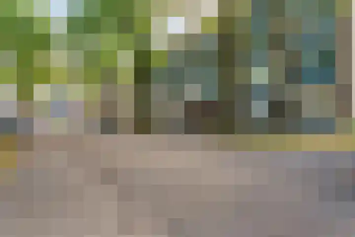 Schoonegge 98 Rotterdam thumbnail 6