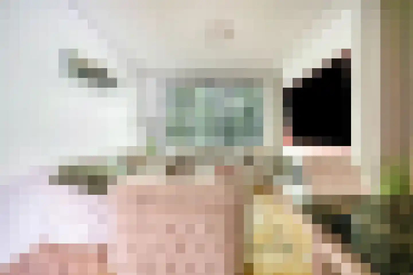 Schoonegge 98 Rotterdam thumbnail 6