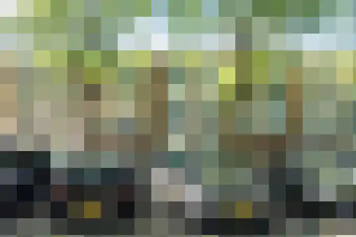 Schoonegge 98 Rotterdam thumbnail 7