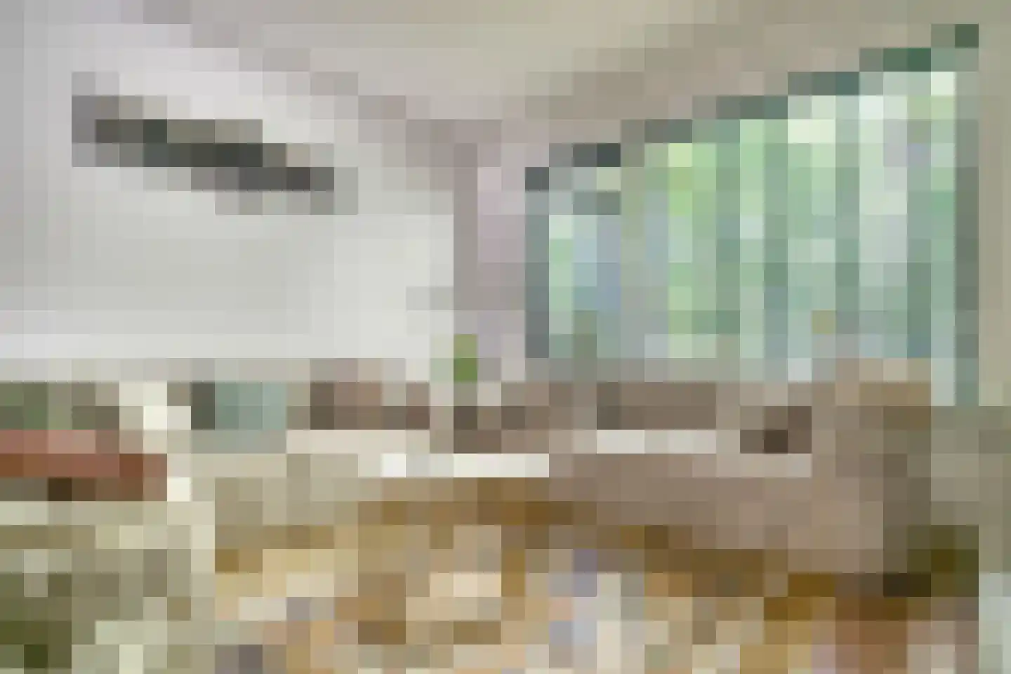 Schoonegge 98 Rotterdam thumbnail 8