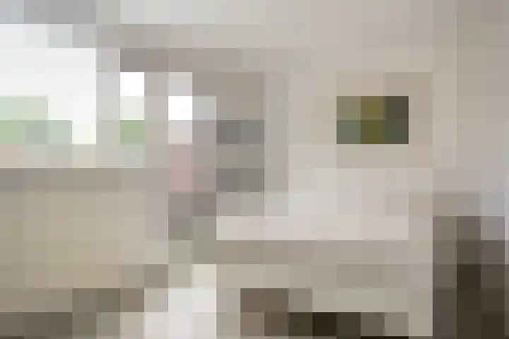 Schoonenburg 100 Ede thumbnail 13
