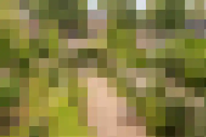 Schoonenburg 100 Ede thumbnail 21