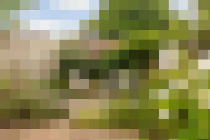 Schoonenburg 100 Ede thumbnail 22