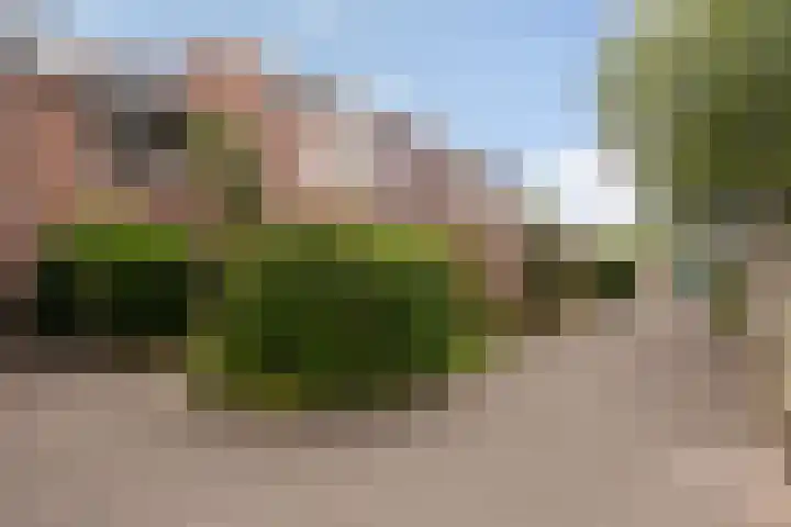 Schoonenburg 100 Ede thumbnail 24