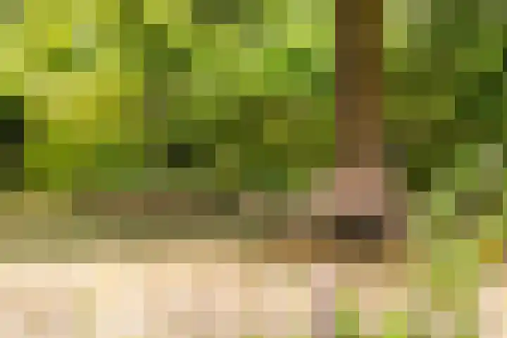 Schoonenburg 100 Ede thumbnail 26