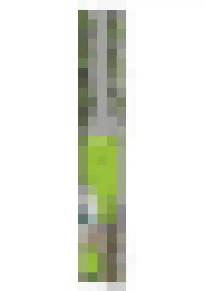 Schoonenburg 100 Ede thumbnail 30
